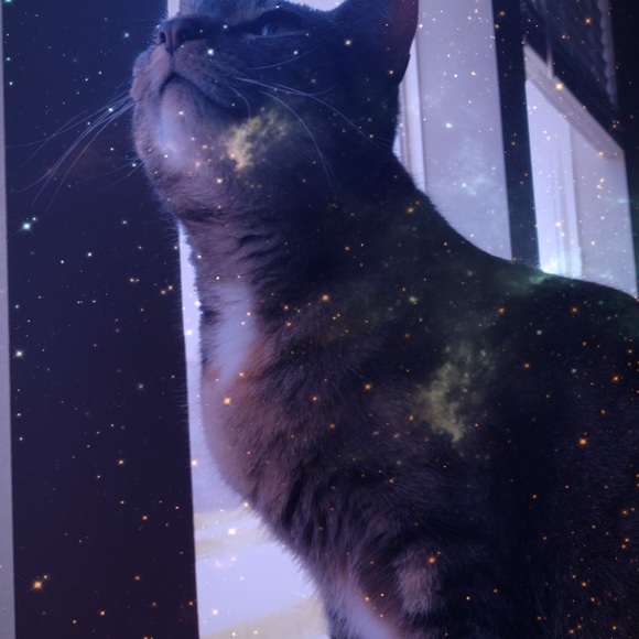 Meet your Posher, Caitlin - Picture 1 of 1